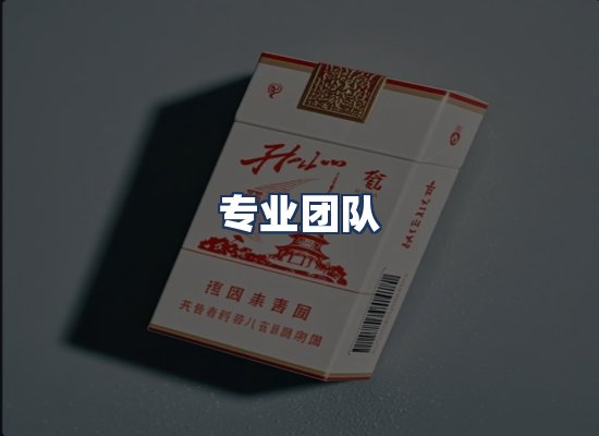 专业团队
